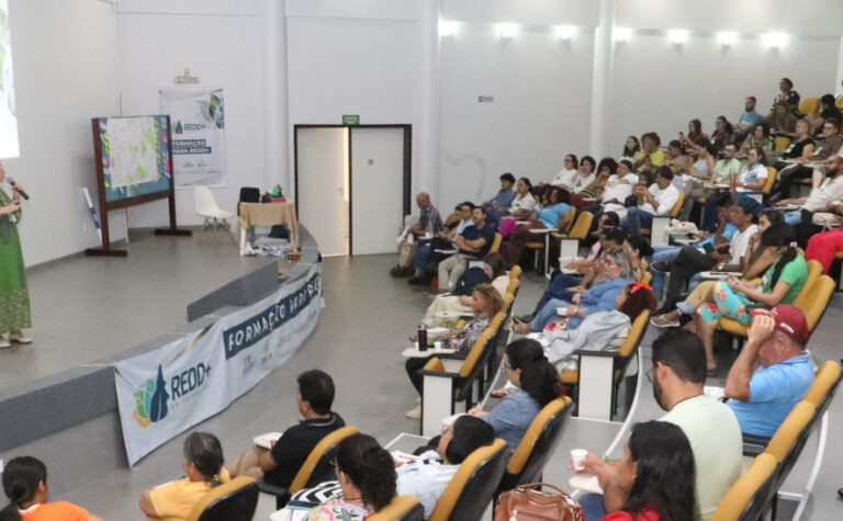 De iniciativa do Governo do Tocantins, o Programa Jurisdicional de REDD+ continua processo de Consulta Livre Prévia e Informada com comunidades para diálogo sobre florestas e mudanças climáticas