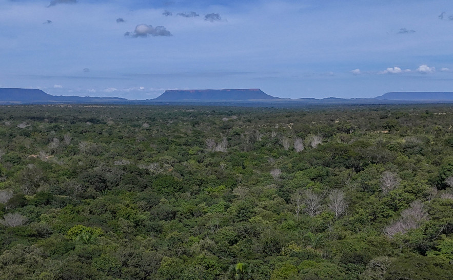 Jalapão vista aérea proxima da Cachoeira da Formiga. - Foto: Foto Marcel de Paula.JPG